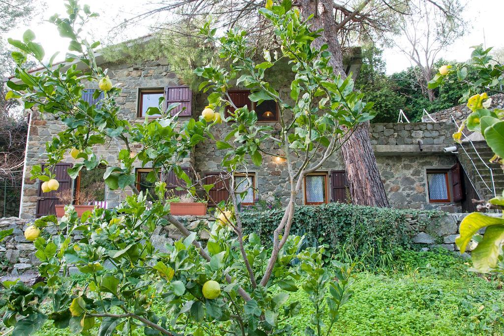 Due Pini Apartment Corniglia Exterior photo