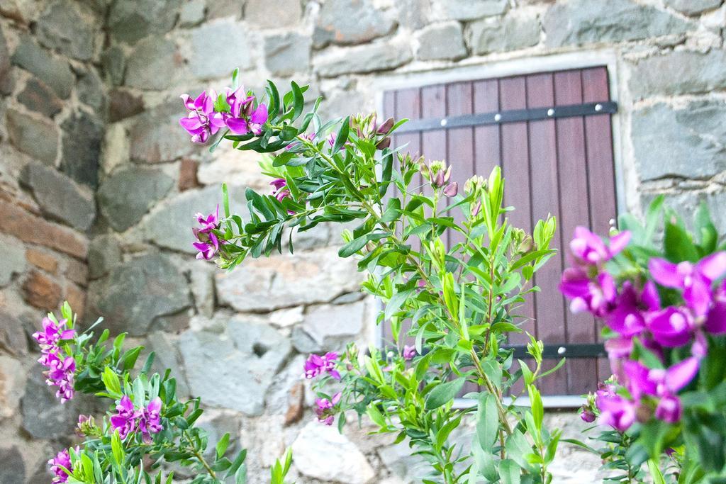 Due Pini Apartment Corniglia Exterior photo