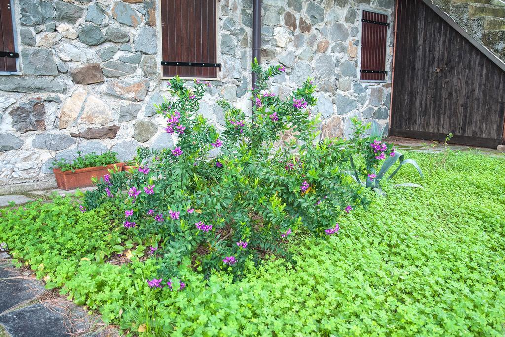 Due Pini Apartment Corniglia Exterior photo