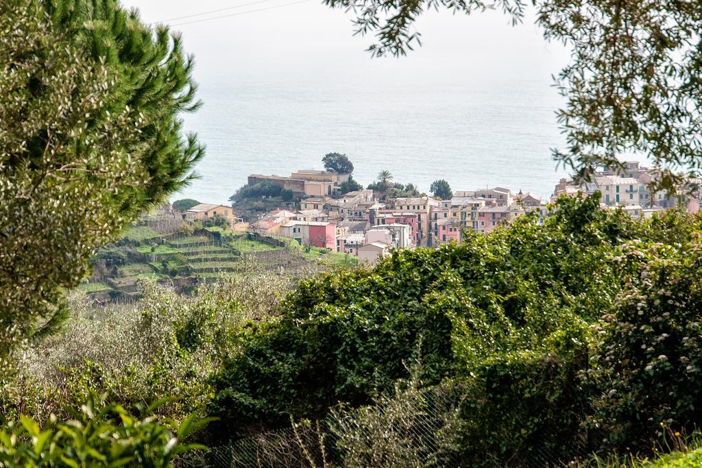 Due Pini Apartment Corniglia Exterior photo